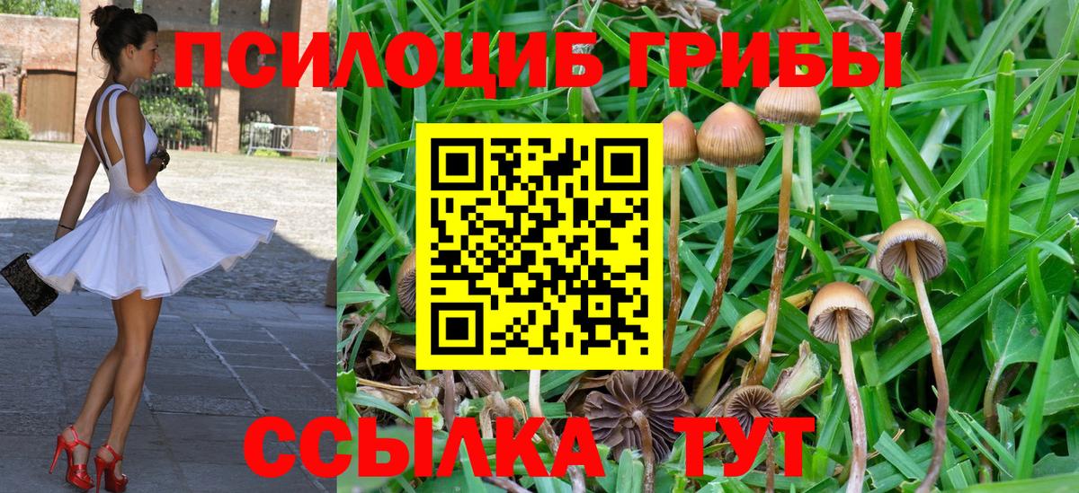 Галлюциногенные грибы Psilocybe  Вход с VPN  Муравленко  даркнет сайт  Галлюциногенные грибы Magic Shrooms 